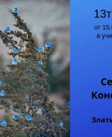 Семейни констелации