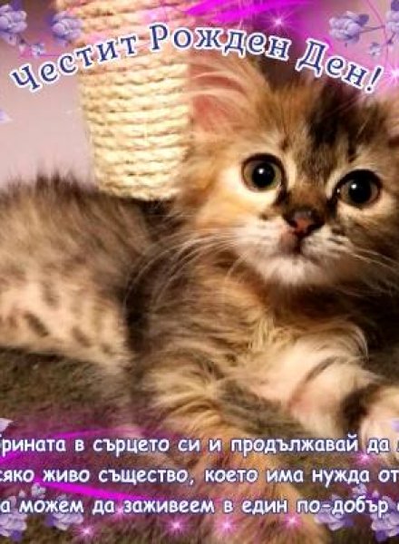 БулевАрт Творчески Четвъртък